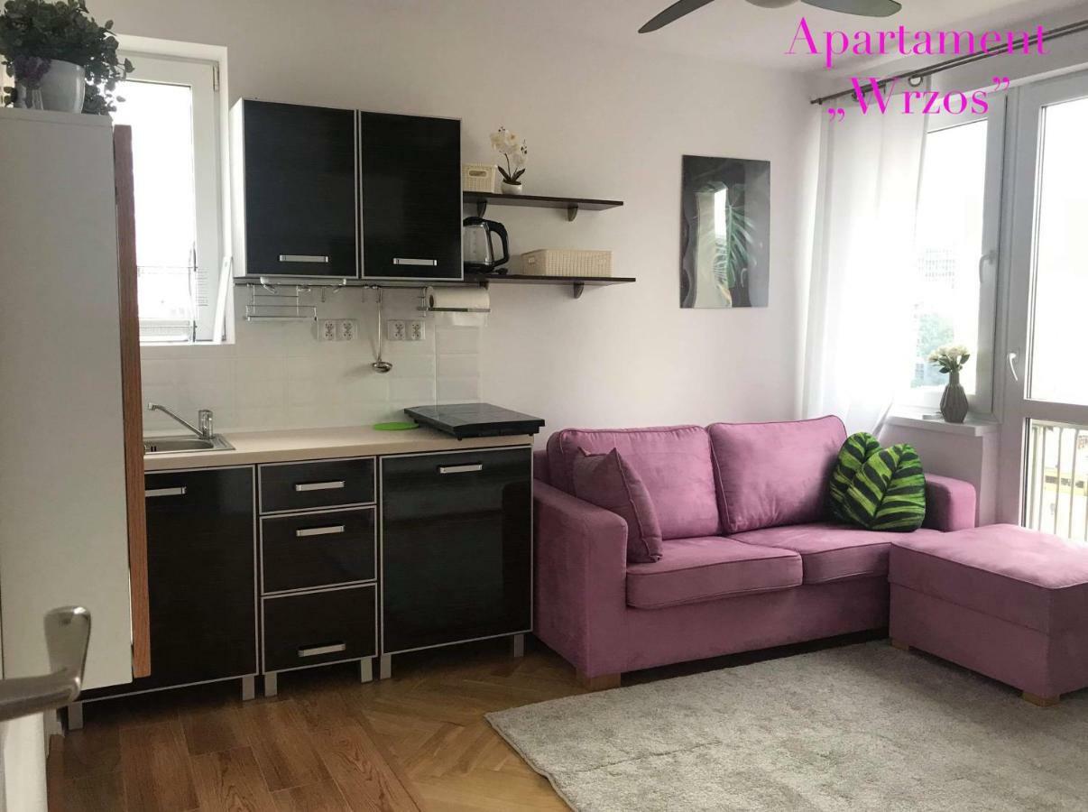 Apartament Deluxe Pańska *